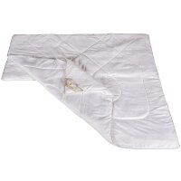 Bettdecke  Seide Comfort